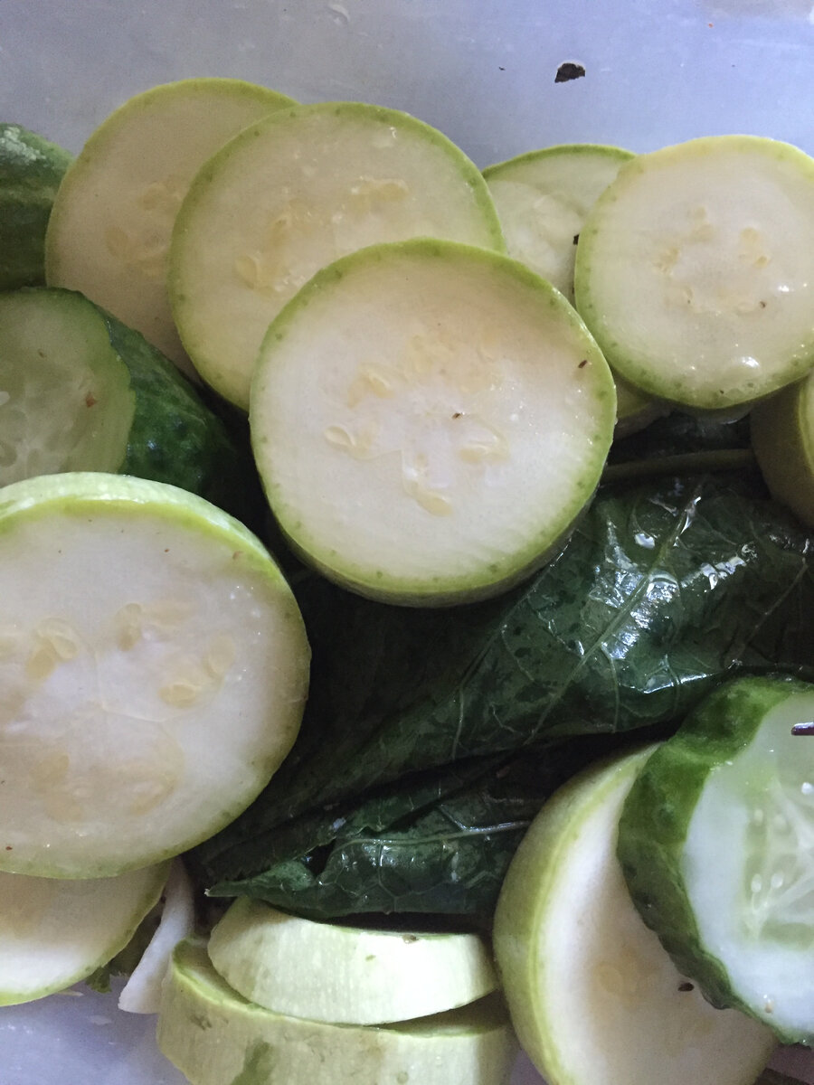 Так выглядят огурцы и кабачки уже в контенере