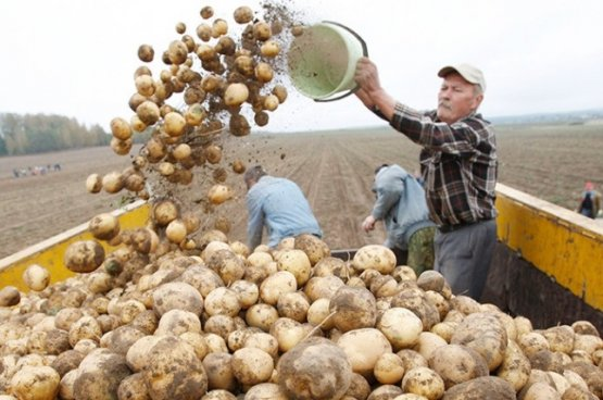Фото с сайта belta.by
