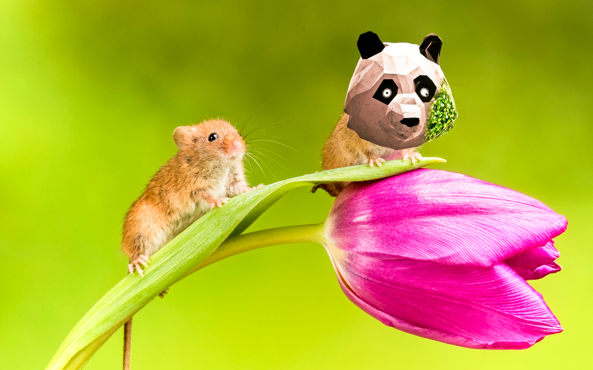 Когда хотел придти раньше друга, а он уже пришёл: