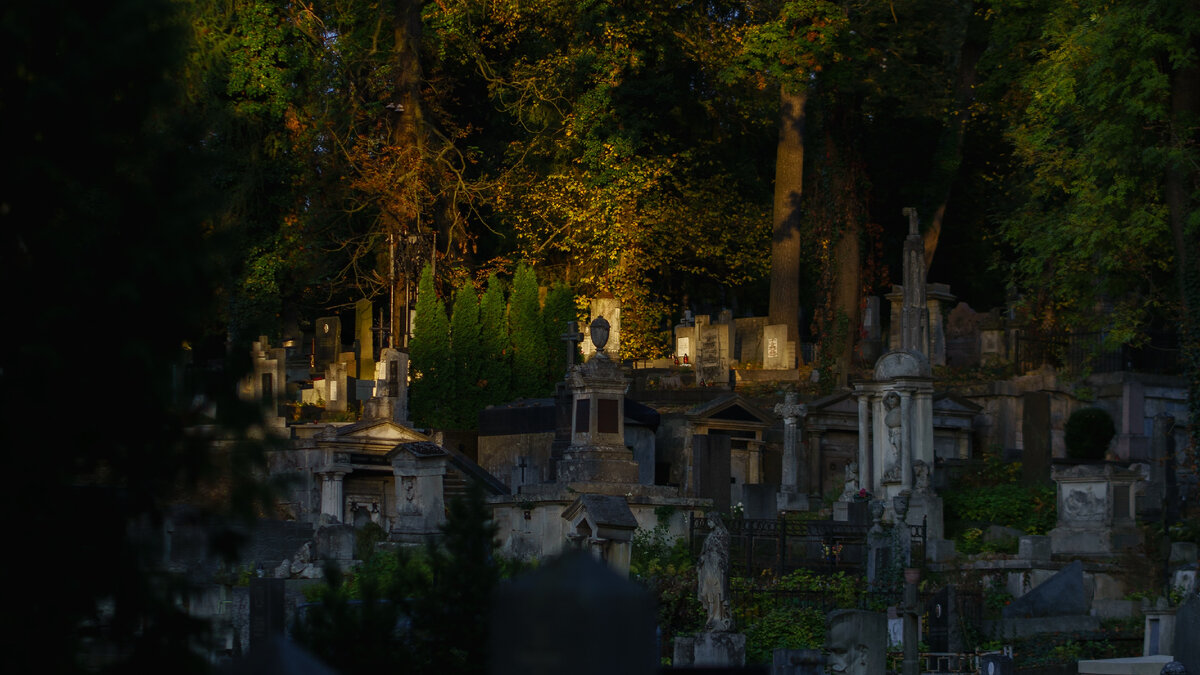 Кладбище (фото с Unsplash)