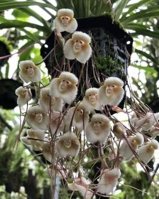 Добавьте описание