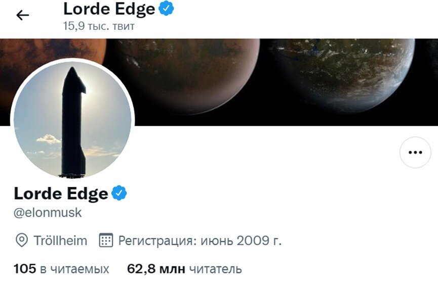 Фото: скриншот страницы Илона Маска в Twitter