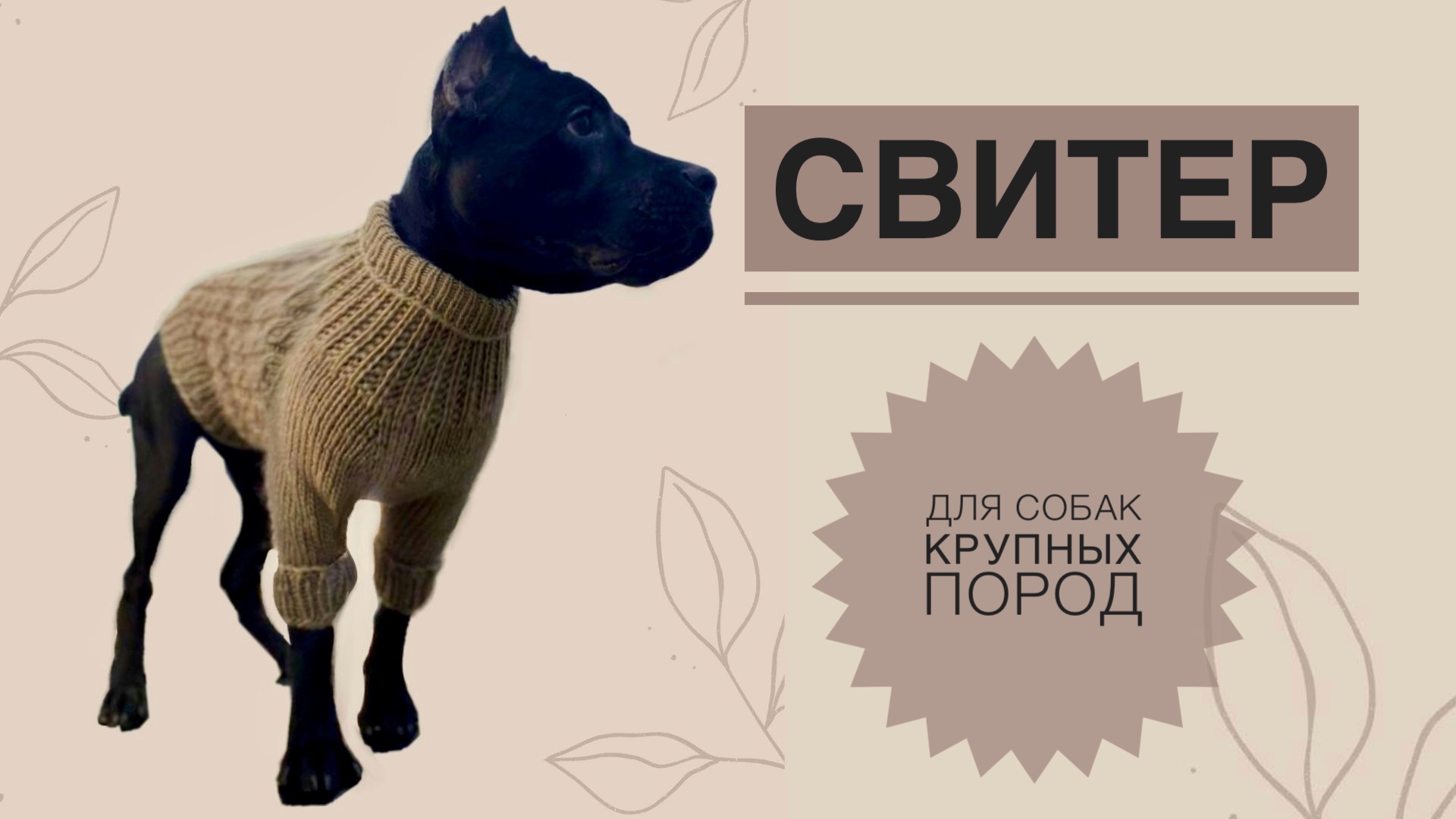 Свитер для собаки в интернет магазине недорого, свитера на собаку в Ротсове-на-Дону