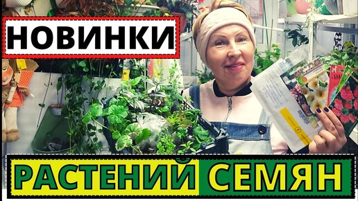 СЕМЕНА и РАСТЕНИЯ от блогеров и подписчиков. Коллекция пополняется