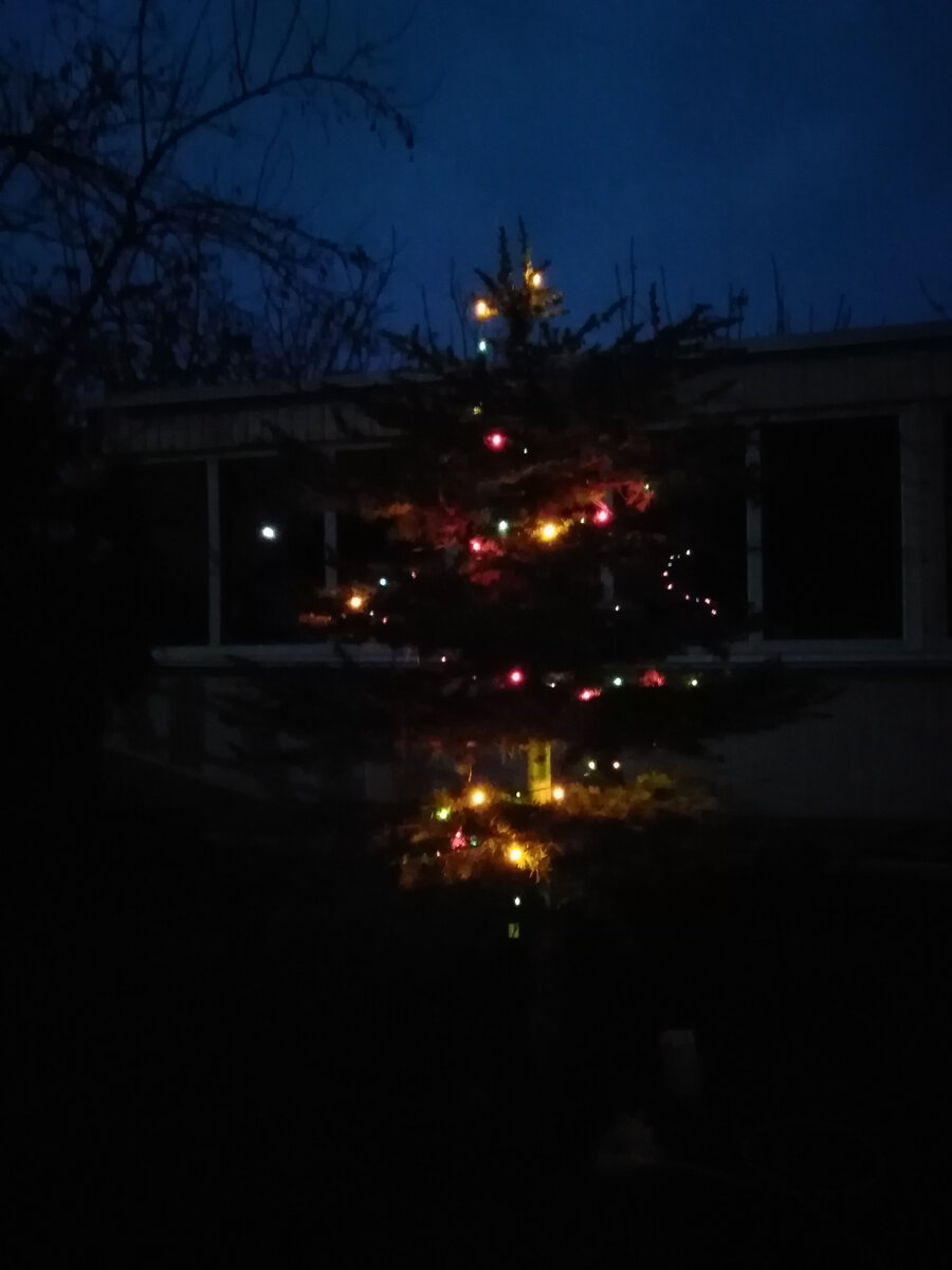 С новым годом! 