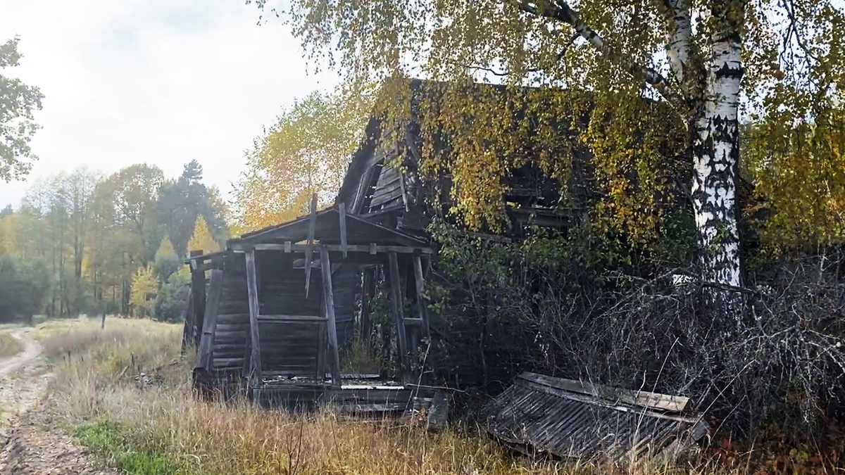 Нашли заброшенную избу в полностью опустевшем поселке в лесу. Здесь,  похоже, жил пчеловод | Прекрасное рядом | Дзен