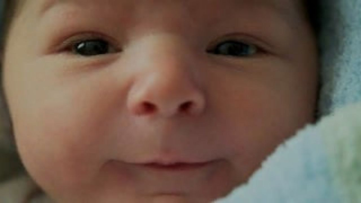 Фото является иллюстрацией к статье