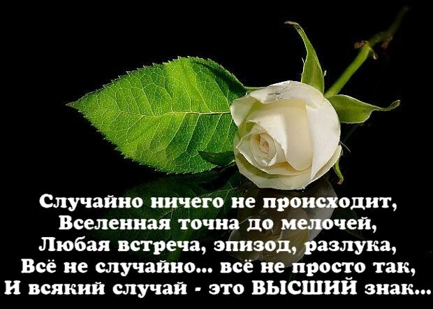 Яндекс картинки.