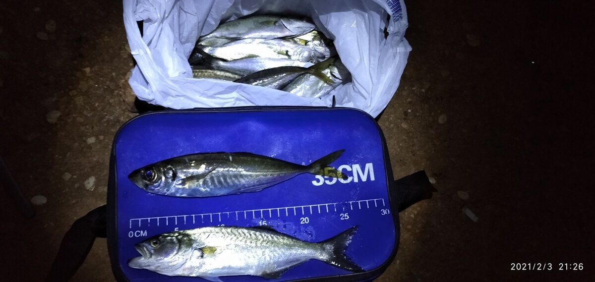 Улов в  феврале 2021. Фото автора.