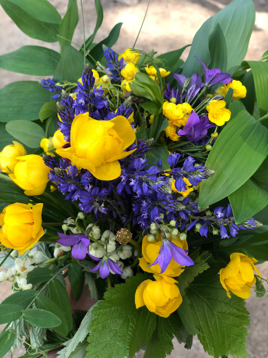 Аромат лесных цветов) 