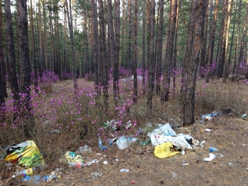 Фото: Олег Осипов