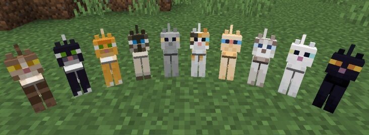 Источник- https://minecraft.fandom.com/ru/wiki/%D0%9A%D0%BE%D1%88%D0%BA%D0%B0?so=search