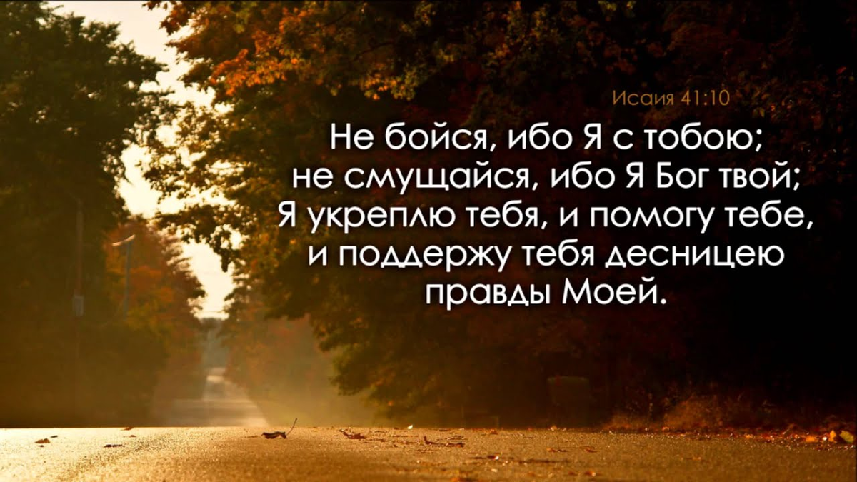 Твои слова да богу. Не бойся ибо я с тобою не смущайся. Не бойся ибо я Бог твой. Библия не бойся и не страшись ибо я с тобой. Не бойся ибо я с тобой Исаия 41 10.