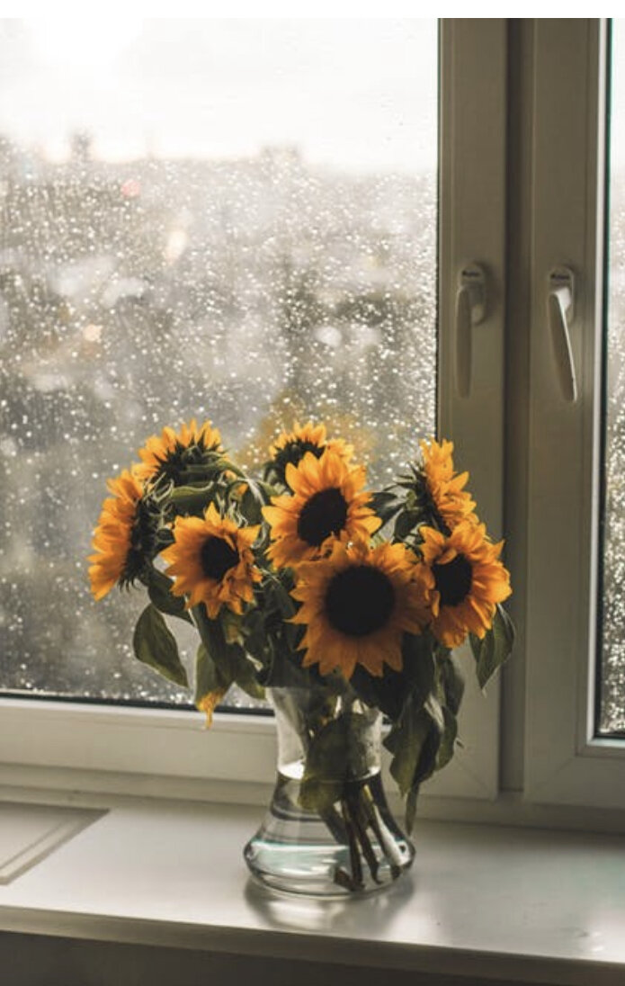 Фото из свободных источников, спасибо автору @Kristina Paukshtite