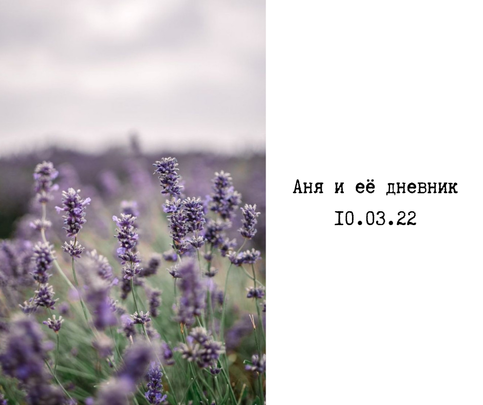 Фото с сайта pinterest