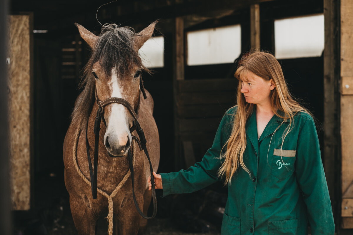 Пунш и Лолита