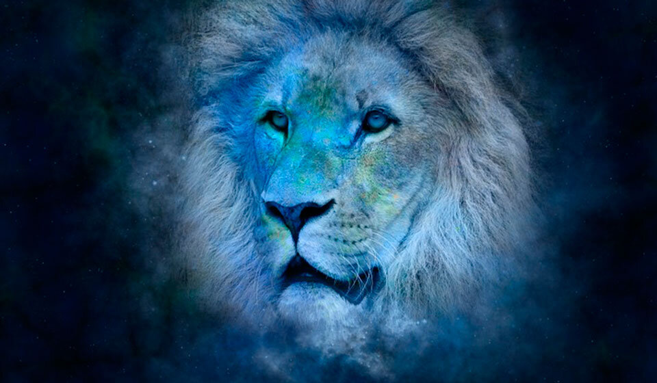 Взято из открытых источников