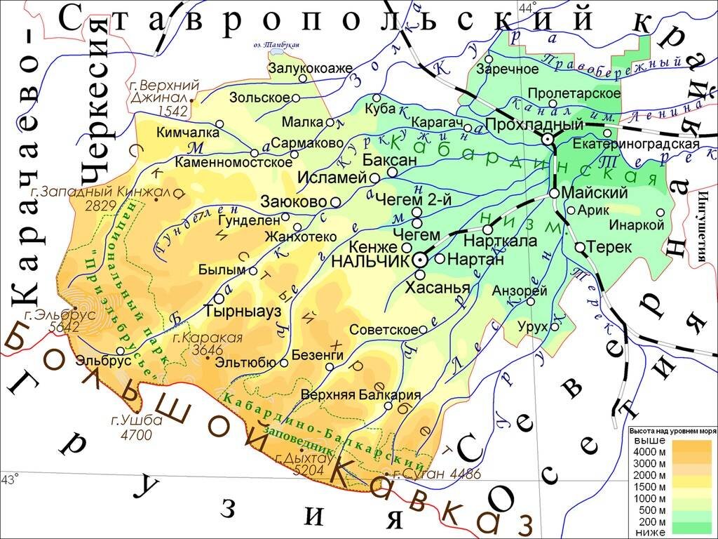 Это и другие изображения взяты из открытого источника "Яндекс-картинки".
