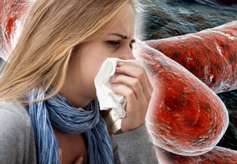 Всё, что нужно знать о туберкулёзе