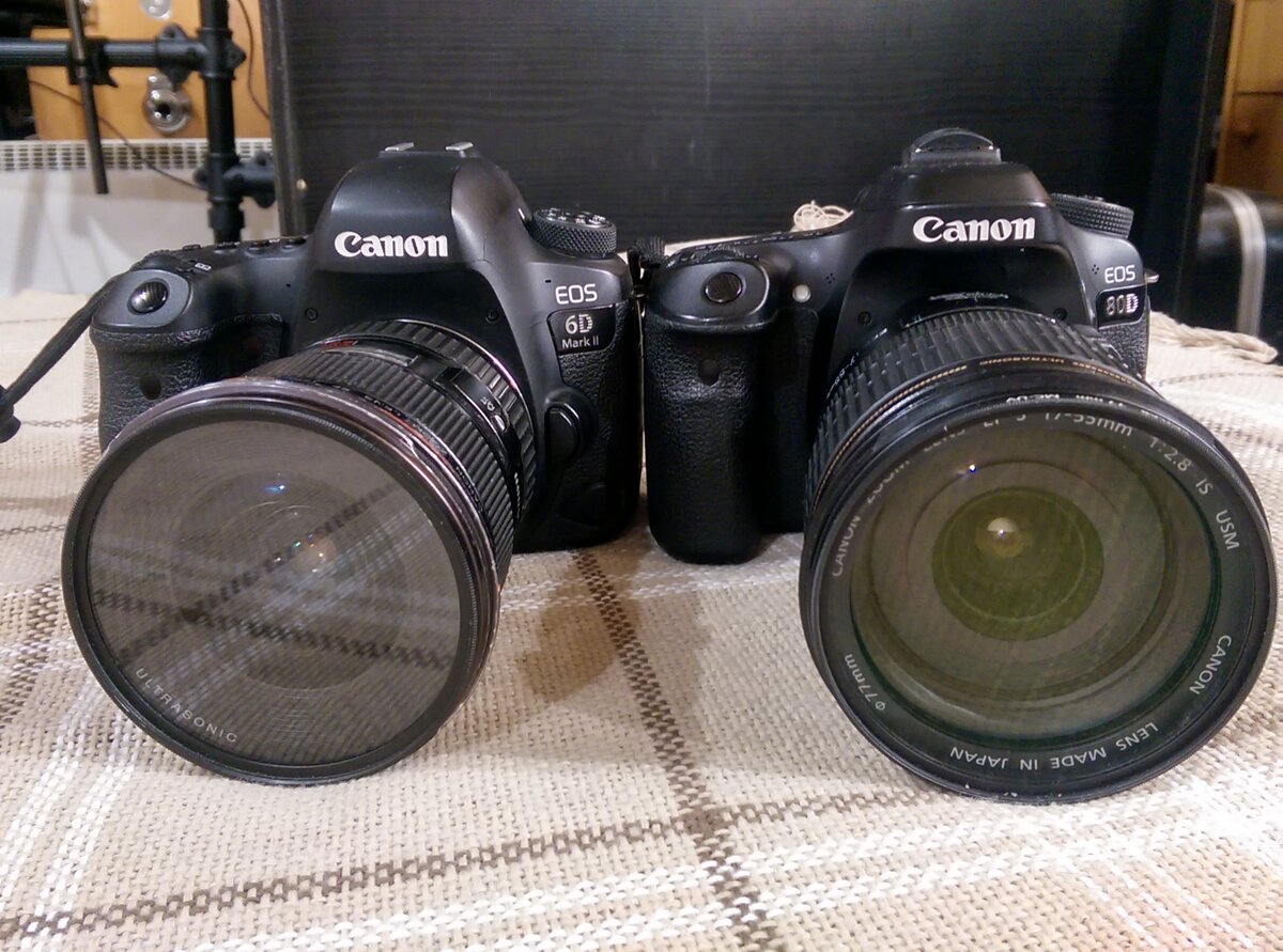 На первый взгляд разница между ними вообще не очевидна.