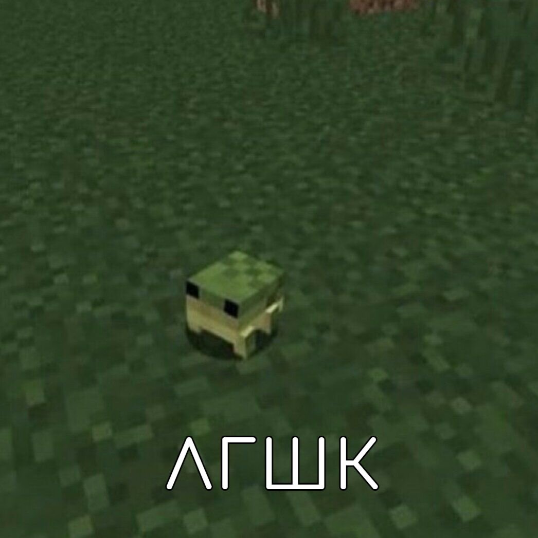 жбк