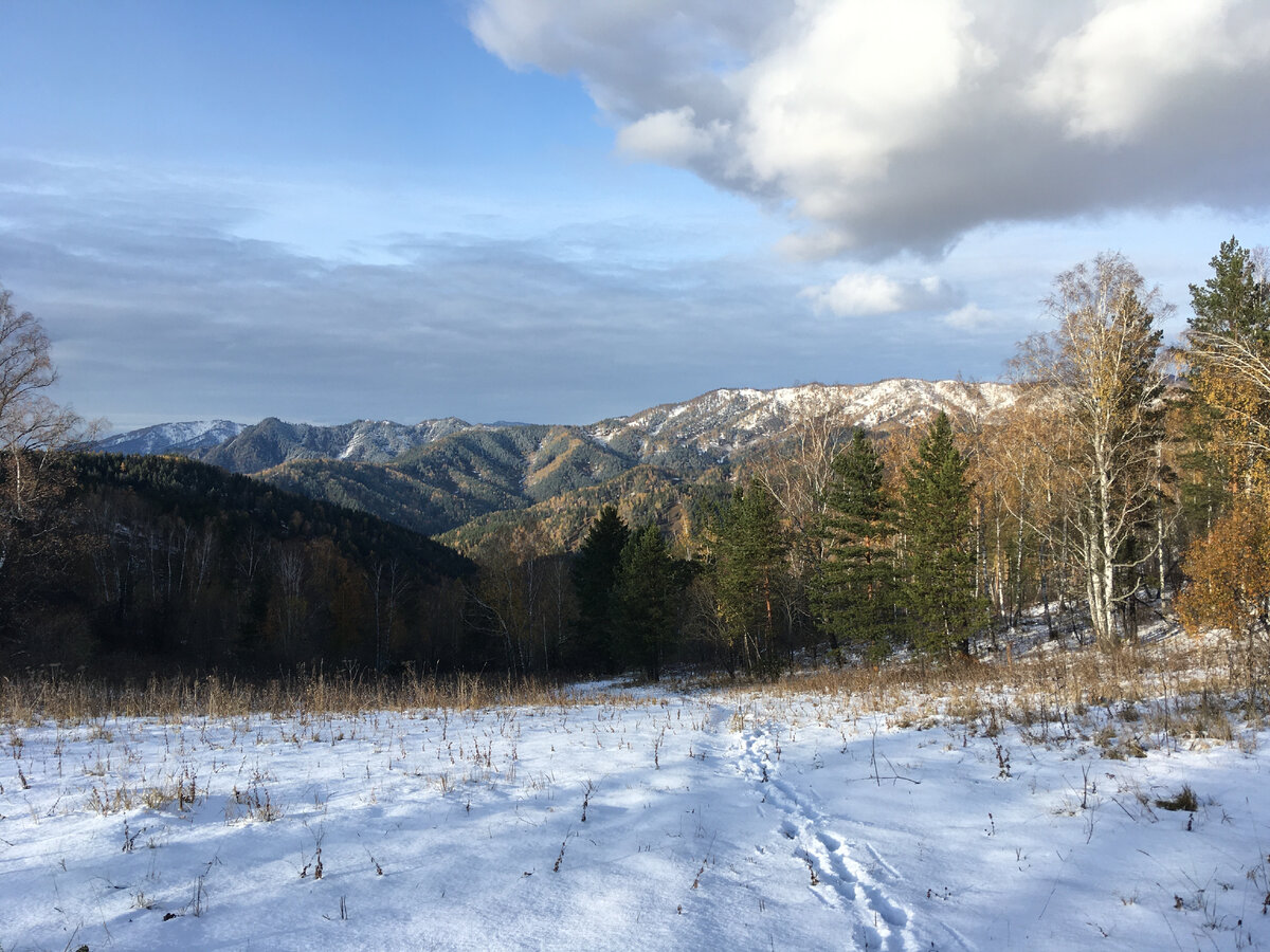 Наши одинокие следы