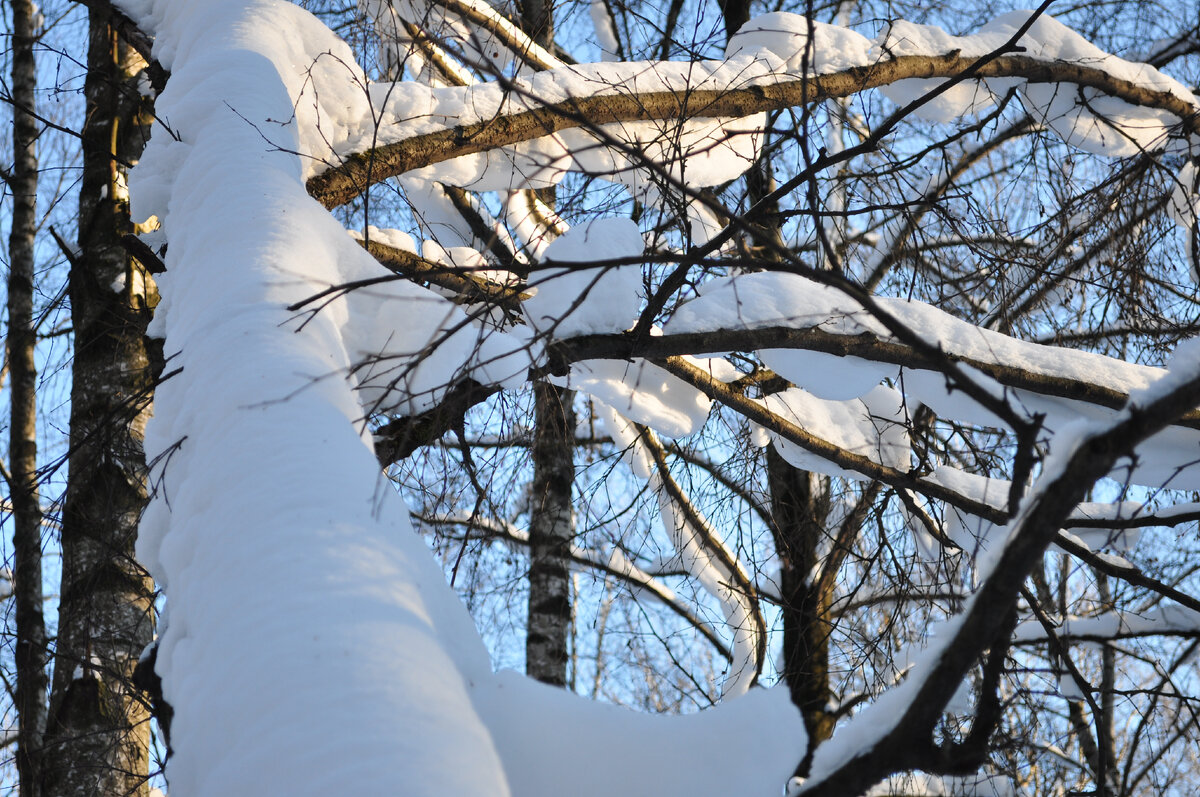 Пример "центровзвешенного режима" + немного прикрыл диафрагму.