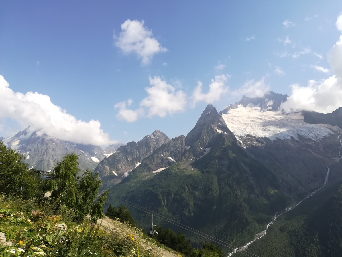 Из сети, для оформления.