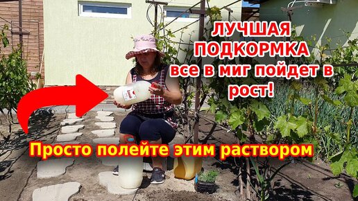 Овощи в миг пойдут в рост! Просто полейте раствором Бесараба все растения