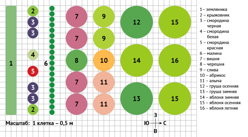 Схема сада плодовых деревьев