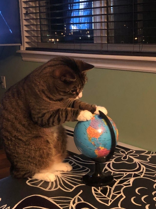 Фото из интернета