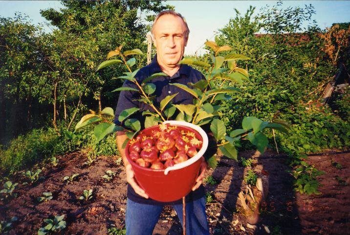 Ганзюков Николай, садовод-практик