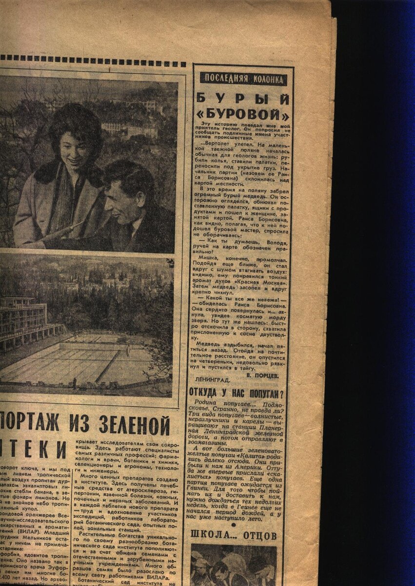 Рассказ "Бурый "Буровой" в оригинале