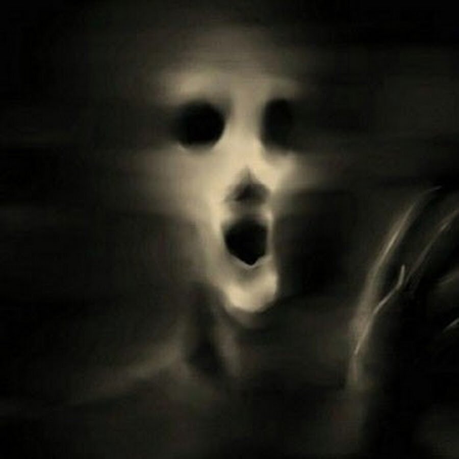 Фотография из интернета 