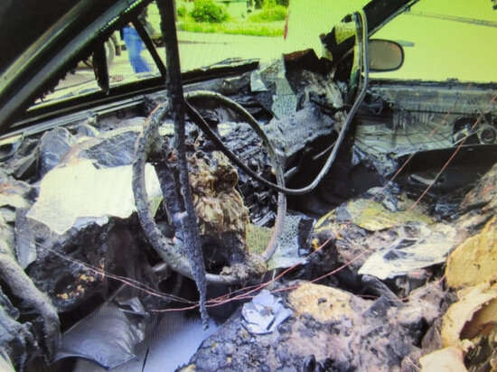     фото пресс-службы УМВД Архангельской области