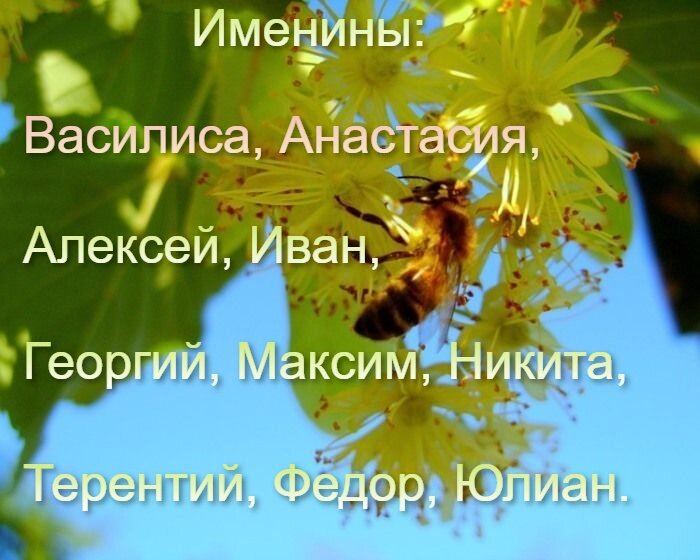 Именины ульяны по православному календарю Именины иконы
