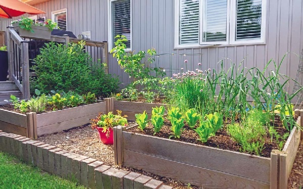 дизайн дачного участка