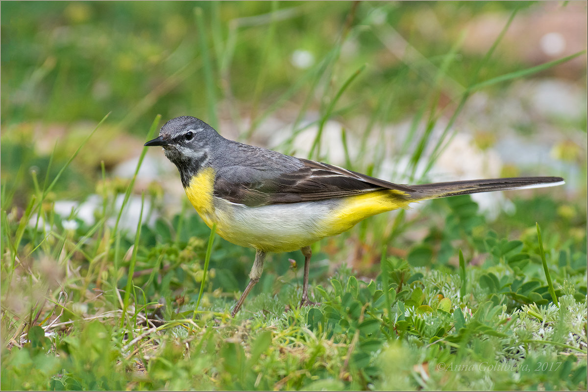 Источник фото: http://s1.fotokto.ru/