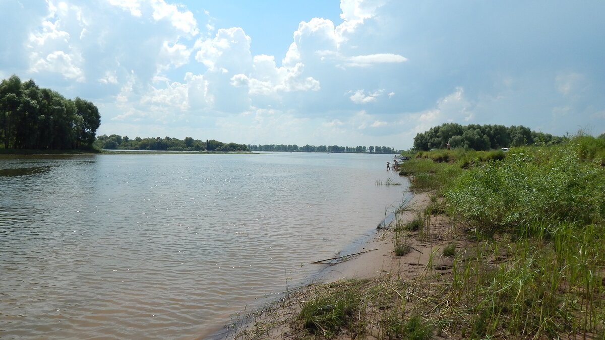 Фото автора. Устье реки Тойма