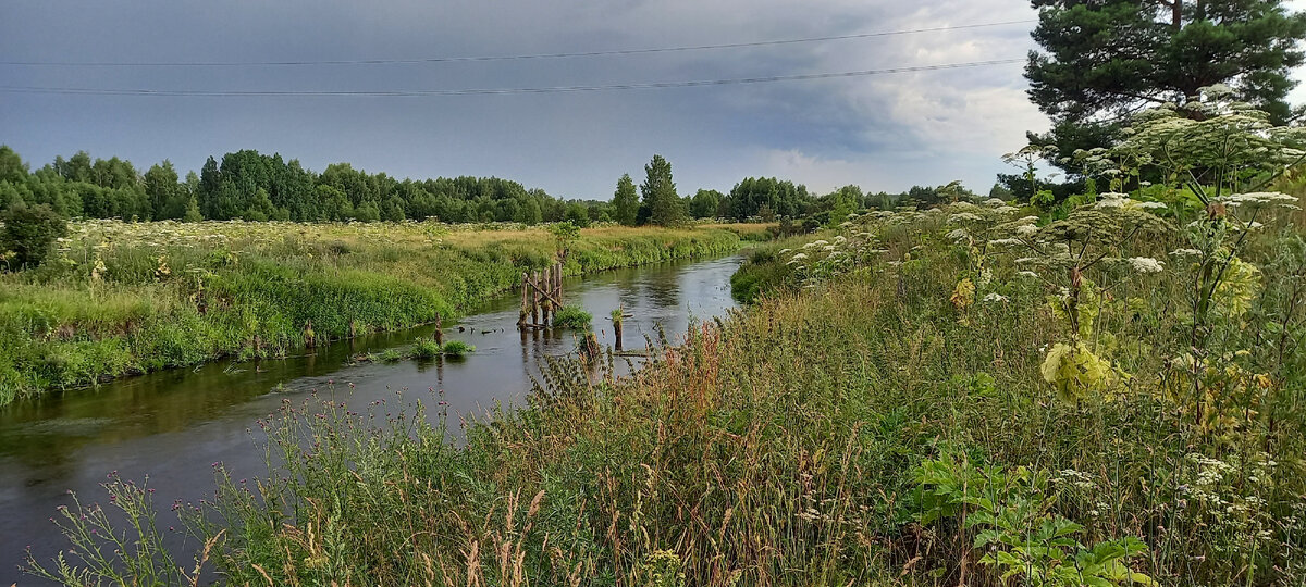 Фото автора канала