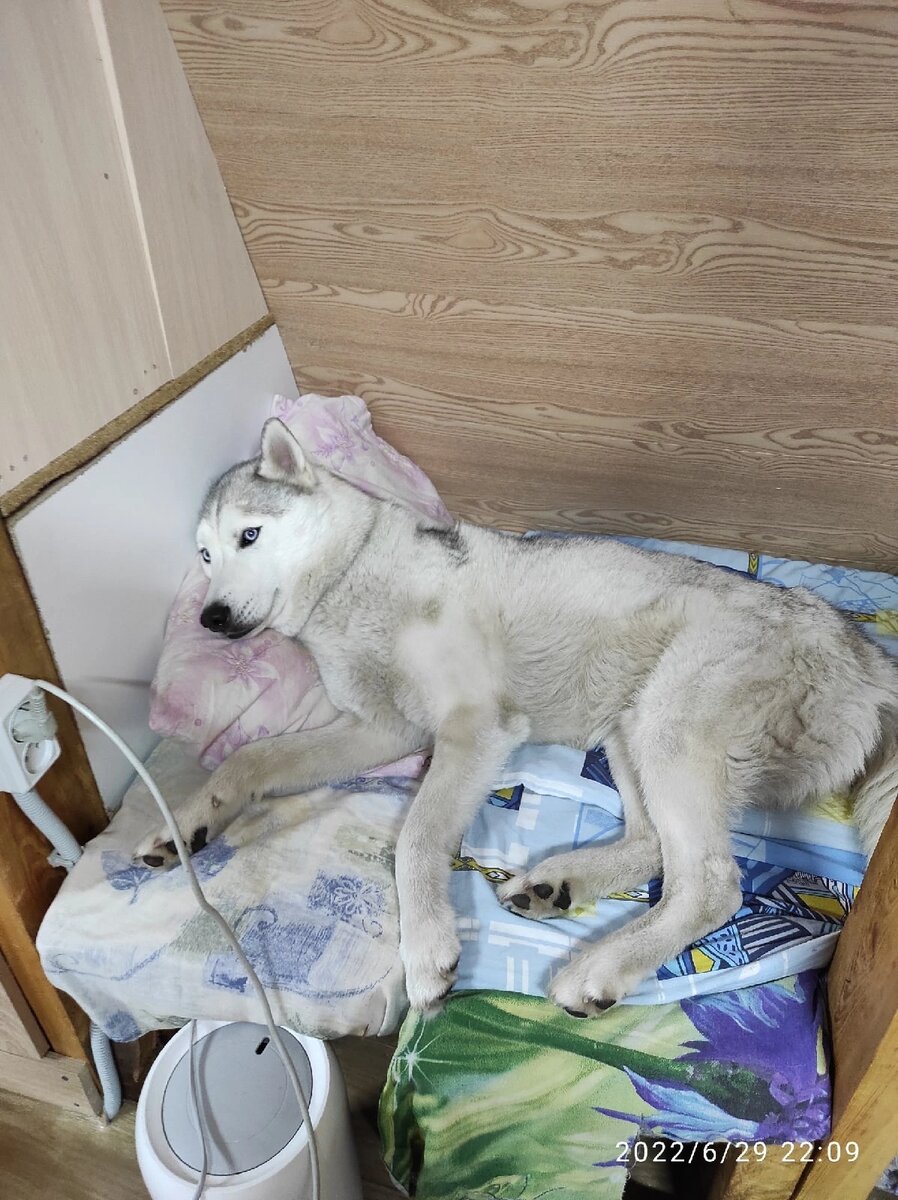 Фото из интернета 