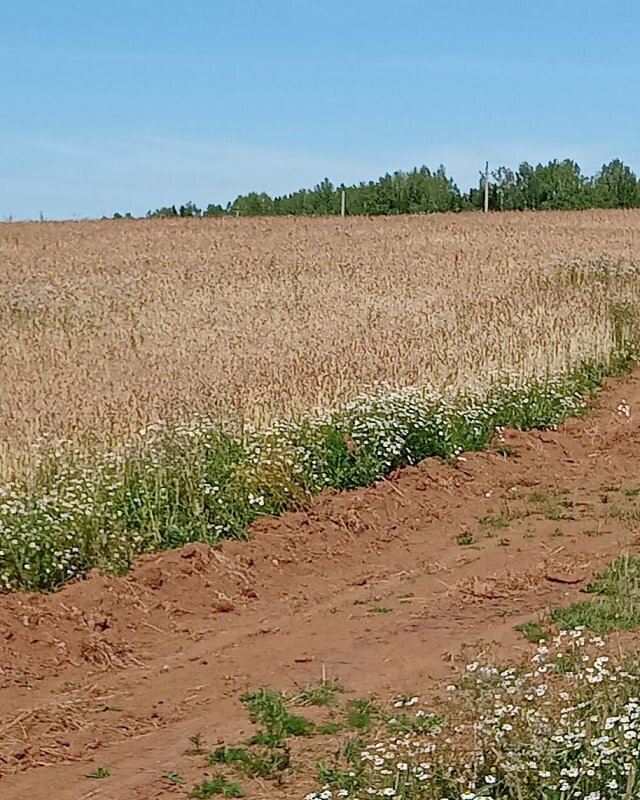 карусель фотографий 10 шт.