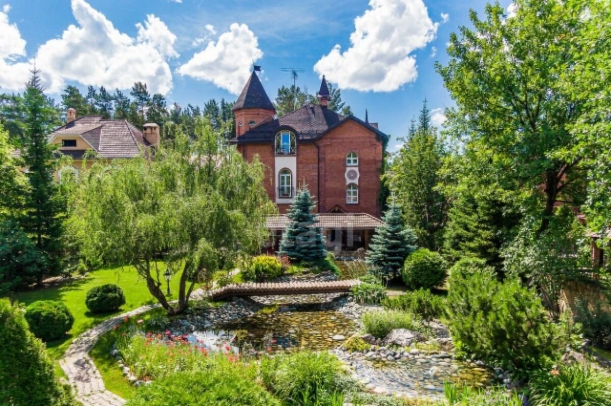    В Новосибирске продают замок с башней и прудом за 70 миллионов рублей