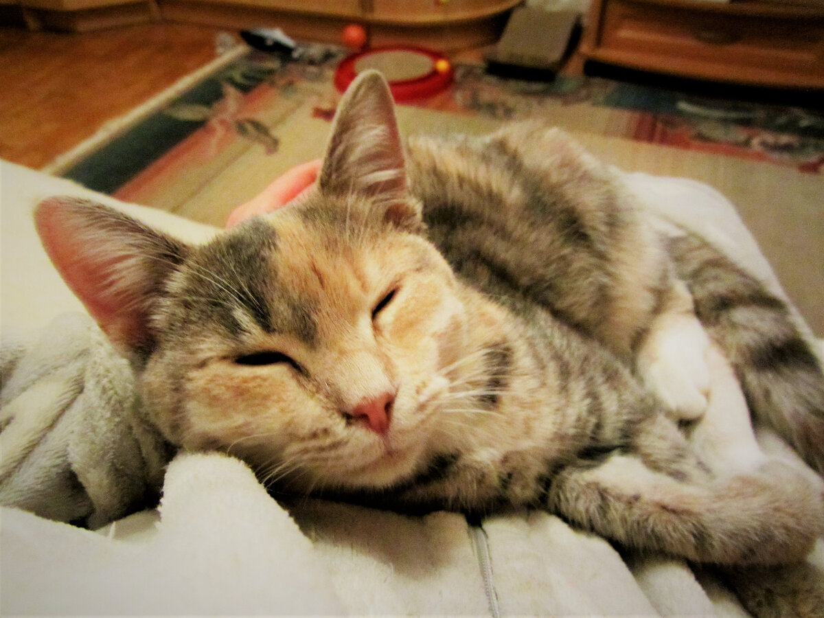 Первый день дома