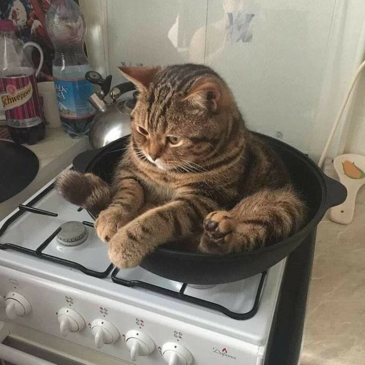 Здесь и далее фото: reddit.com