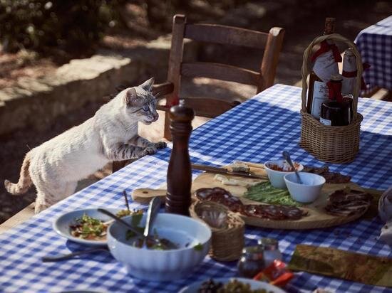     Фото: pixabay.com