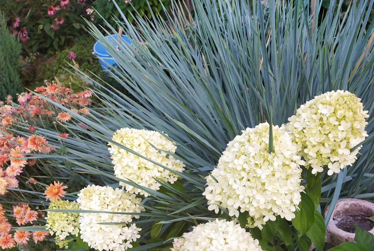 Фотография Анастасии Колпаковой