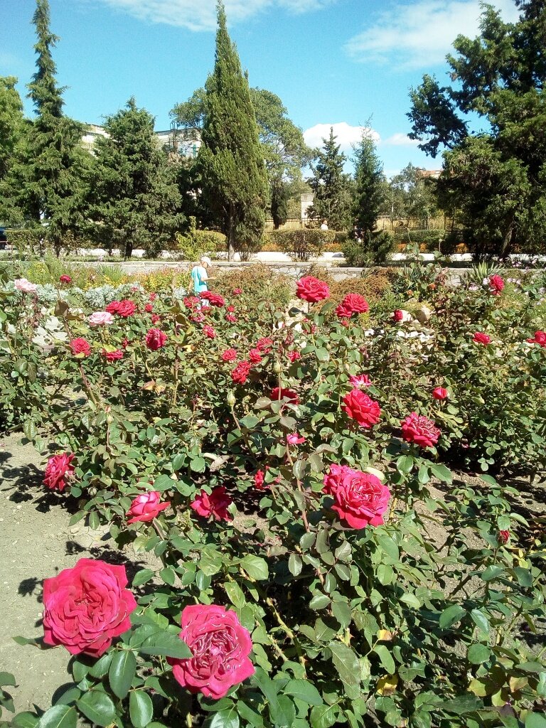 Сегодня в "Голубом заливе". Фото автора канала