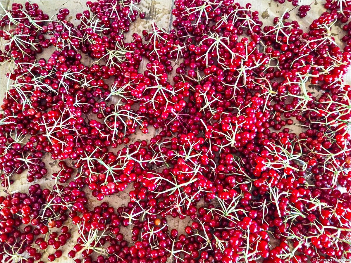 Калина красная перетёртая с сахаром