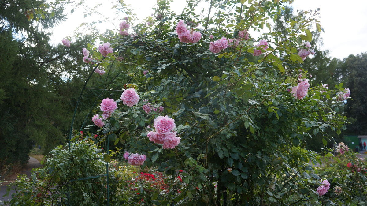 Редактировать галерею